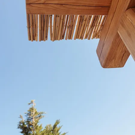 Evdokia-comfort Olive Yard With Aegean View Holiday home